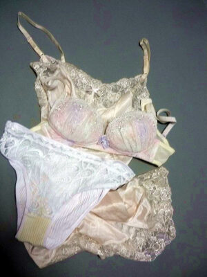 『脱ぎっぱなし』 未洗濯の下着