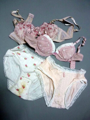 『脱ぎっぱなし』 未洗濯の下着