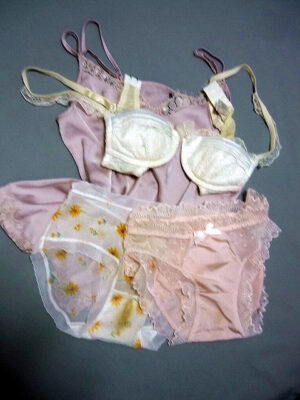 『脱ぎっぱなし』 未洗濯の下着