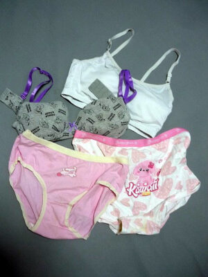 『脱ぎっぱなし』 未洗濯の下着