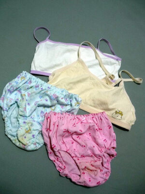 『脱ぎっぱなし』 未洗濯の下着