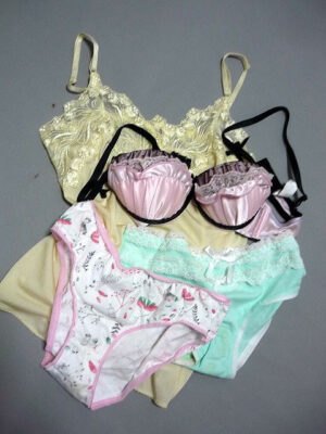 『脱ぎっぱなし』 未洗濯の下着