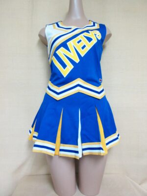 金井高等学校 チアリーディング部