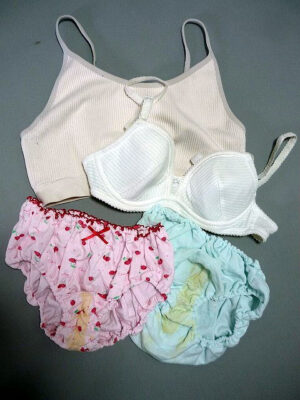 『脱ぎっぱなし』 未洗濯の下着