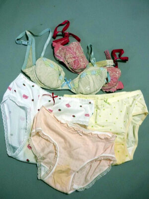 『脱ぎっぱなし』 未洗濯の下着