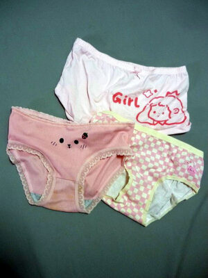 『脱ぎっぱなし』 未洗濯の下着