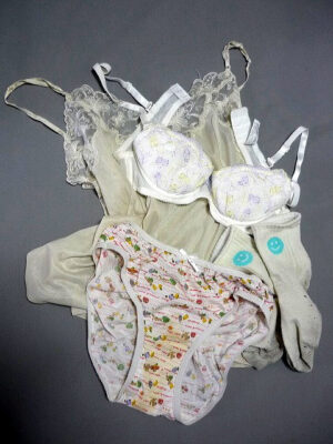 『脱ぎっぱなし』 未洗濯の下着