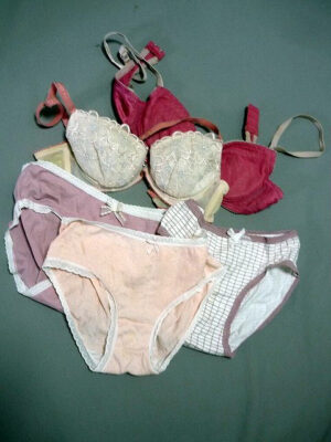 『脱ぎっぱなし』 未洗濯の下着