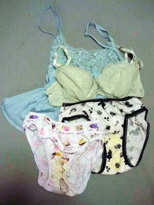 『脱ぎっぱなし』 未洗濯の下着