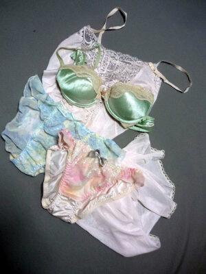 『脱ぎっぱなし』 未洗濯の下着