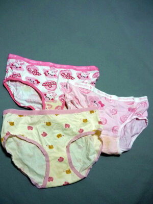 『脱ぎっぱなし』 未洗濯の下着