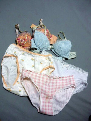 『脱ぎっぱなし』 未洗濯の下着