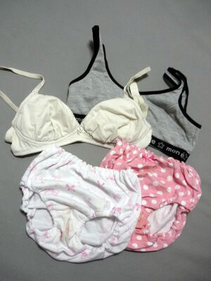 『脱ぎっぱなし』 未洗濯の下着